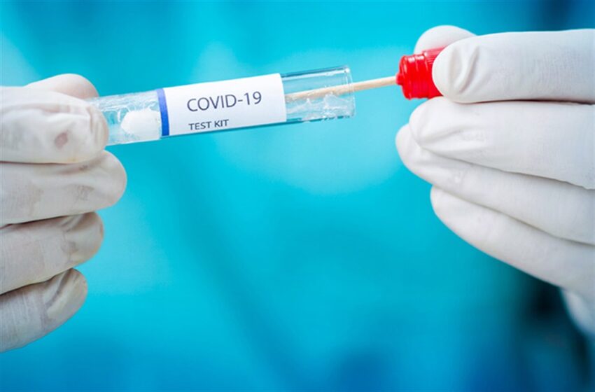 Guadeloupe Confirms Four New Cases of Coronavirus