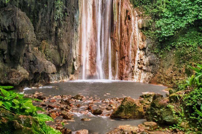 botanical garden sugar beach st lucia 