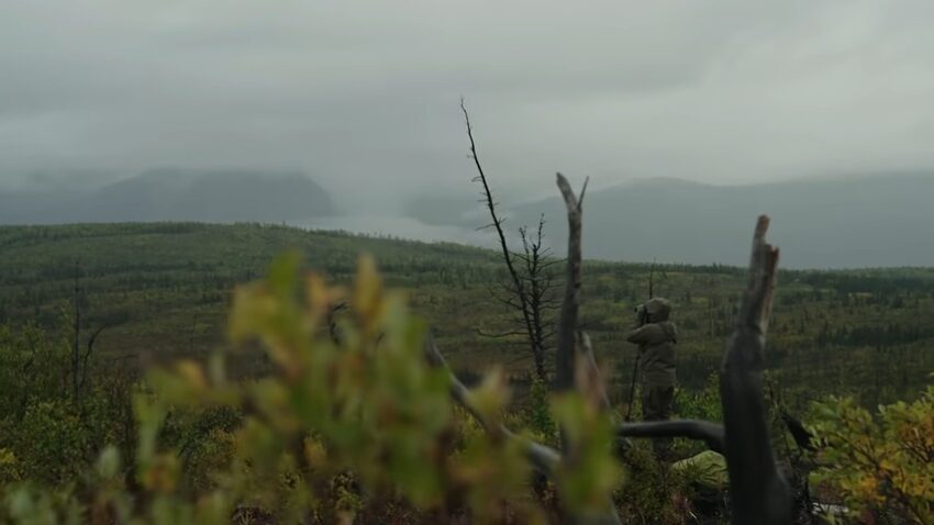 ALASKAN MOOSE hunting