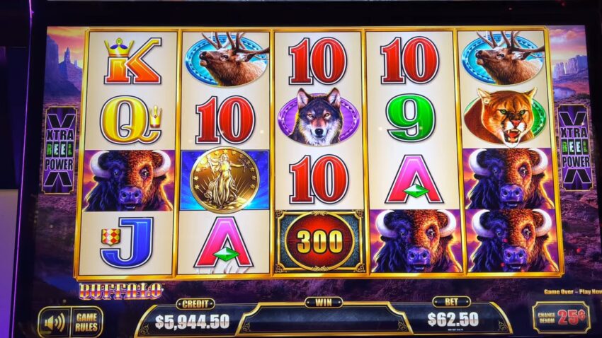 Casino gamews bonuses