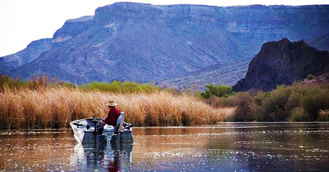 The Biggest Fish Caught in Arizona: Casting for Giants - Vimarsana News