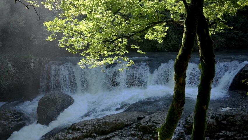 Allure of Angling in Georgia