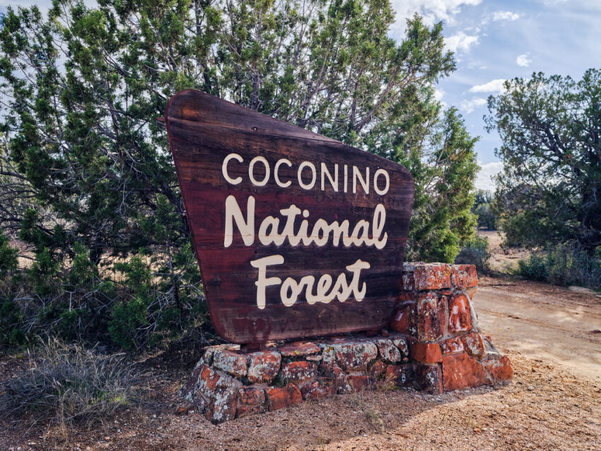 Coconino National Forest camping