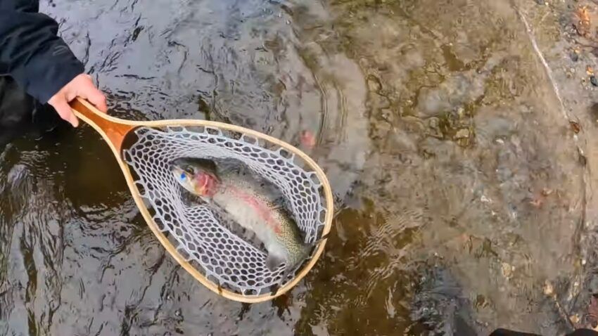 Connecticut Fishing