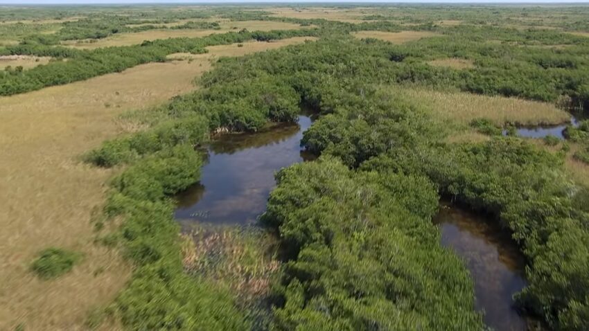 Everglades National Park