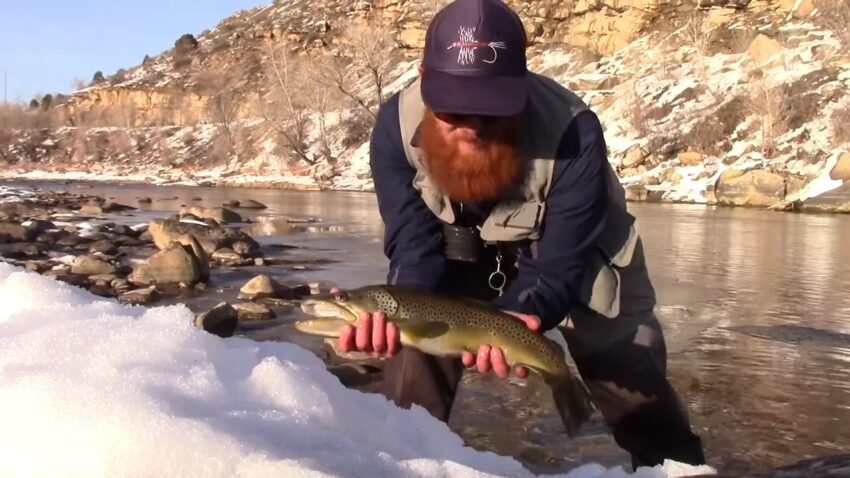 Future of Fishing in Colorado