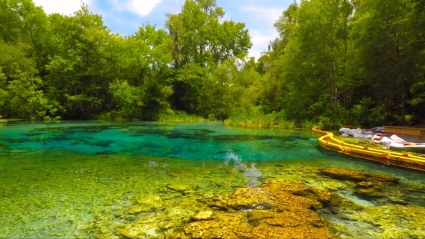 Ichetucknee Springs State Park