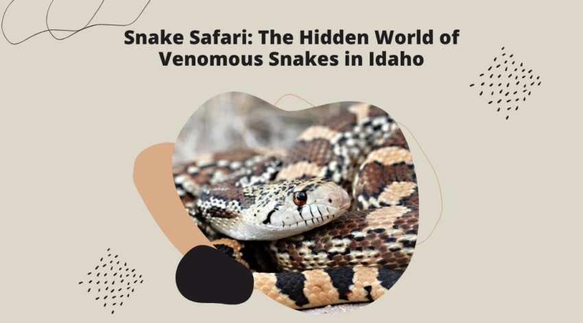 Idaho venomous snakes
