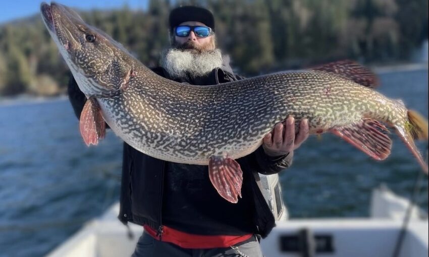 Northern Pike Angler Record