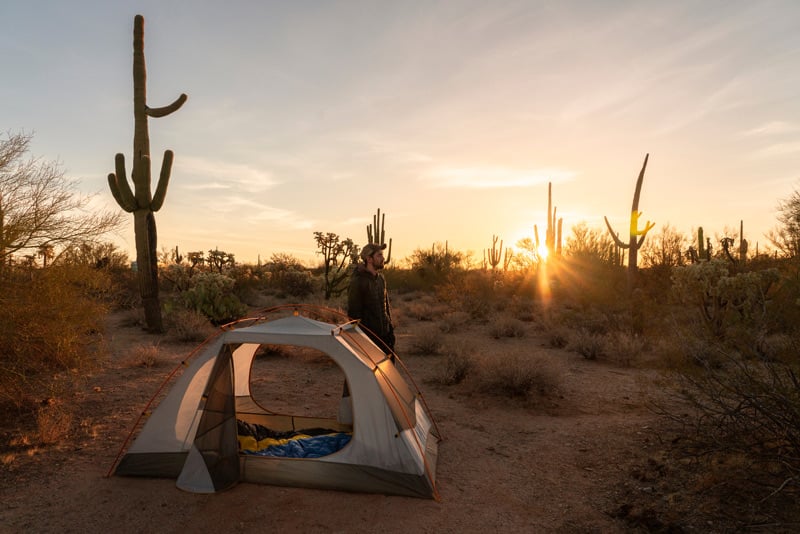 Saguaro National Park