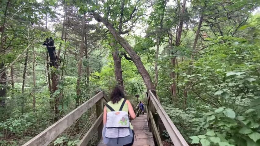 Starved Rock State Park