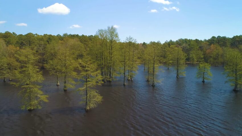 Trap Pond State Park