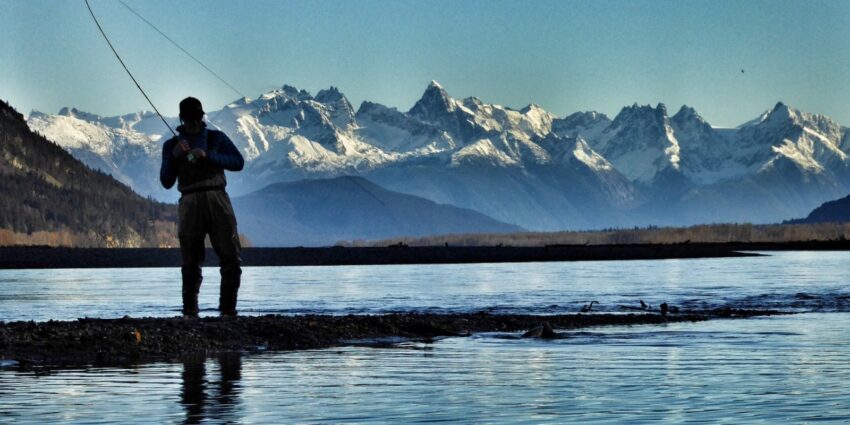Exploring the Biggest Fish in Alaska: The Titans Beneath the Waves - Vimarsana News