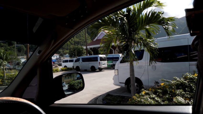 White minibuses wait near a palm-lined street in St. Lucia