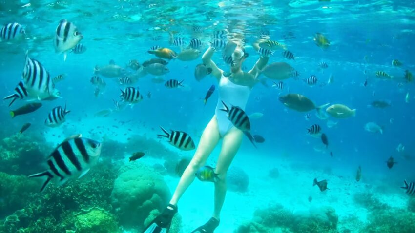 A snorkeler swims over a Caribbean reef with tropical fish in clear blue water