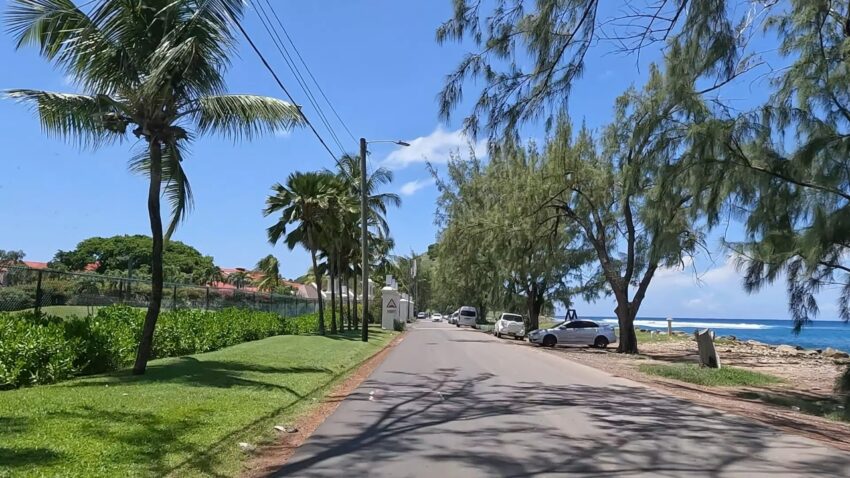 A coastal road in St. Lucia runs beside palm trees and the sea
